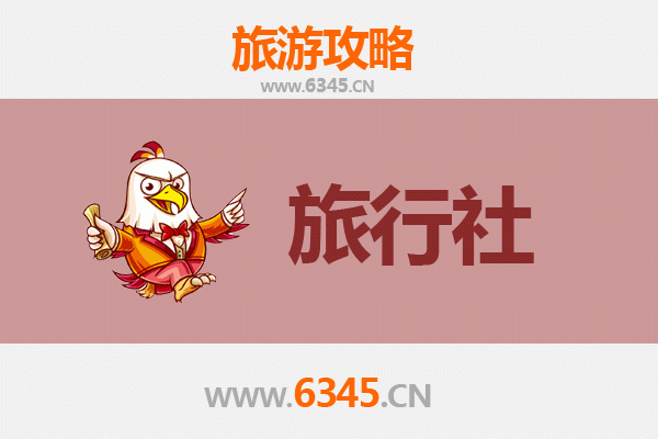 万宁三更罗镇本地旅行社推荐：探索雨林黎乡的完美指南