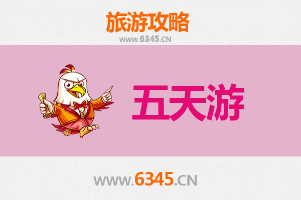 万宁三更罗镇五天四夜深度游攻略：雨林探秘与黎苗文化体验